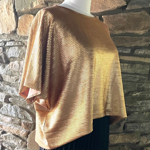 Cesar Galindo Matte Gold Sequined Top - Picture 4 of 6